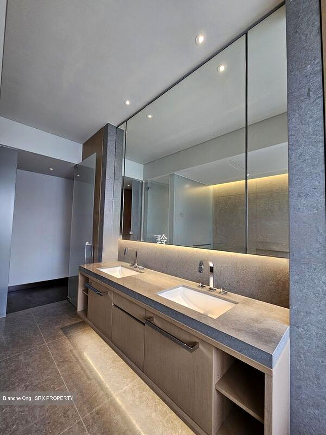 Hana (D10), Condominium #511288161